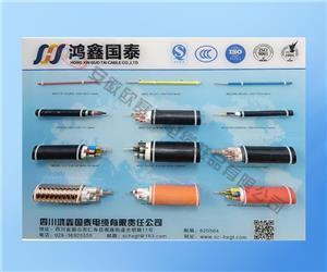 各種投標(biāo)電纜樣品