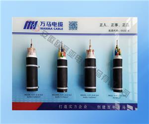 各種投標(biāo)電纜樣品